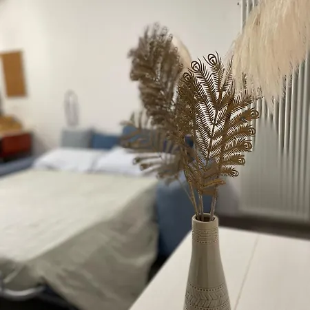 Sirio 19 - - Bilocale A 5 Minuti Dal Teatro Ariston Apartment *